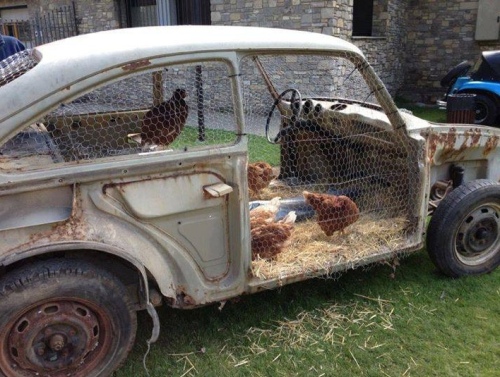 Chickens on wheels
